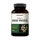 Irish Sea Moss Capsules, 3.000mg pro Servierung, 240 Veggie Pillen | Hergestellt mit Bio-Rohpulver, Plus Bladderwrack & Burdock Root, Sea Vegetable Complex – Immun- & Schilddrüsen-Superfood-Unterstützung – Non-GMO
