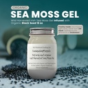 Ashwagandha Mango Sea Moss Gel Bio Frische Früchte Infused Wild Harvested Irish Sea Moss Gel | Immune and Digestive Support | Vitamin Mineral Antioxidant Supplements | (16 oz. Ashwagandha Mango)