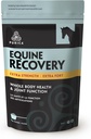 PURICA Equine Hyaluronsäure - Pferdegelenk-Supplement mit Glucosamin, MSM-Pulver, Betaine, Magnesium, Vitamin C und E - Grüner Tee und Traubensaft-Extrakt - Pferde-Lieferungen und -Trauben
