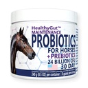 HealthyGutTM Probiotika für Pferde Nahrungsergänzungsmittel, All-Natural Verdauungssystem Wartung Formel (30 Tage)