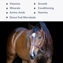 Mega-Mag (35lb) Balanced Multi Vitamin/Mineral Supplement für Alfalfa Hay Diäten...