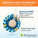 REVGENETICS Advanced NAD+ Supplement, 60 Kapseln - Nahrungsergänzungsmittel für gesunde Alterung und Langlebigkeit