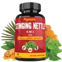 Stinging Nettle Extract Kapseln mit Boswellia, Turmeric & Saw Palmetto - 2 Monate Versorgung für Joint, Body Management, Haut, Haar &amp; Immunität