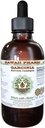 Reine Garcinia Alkoholfreie Flüssigkeit Extrakt, Bio Garcinia (Garcinia cambogia) Getrocknete Frucht Glycerit Hawaii Pharm natürliche Kräuterergänzung 2 fl.oz