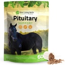 Silber Futter Kräuter Pituitary Gland Ergänzungen für Pferde - Pferde Ergänzungen für Equine Metabolic Unterstützung, Kissen, Schwitzen & Shedding Probleme - Mood & Energy Horse Supplement - 1 lb 60-Tag Versorgung