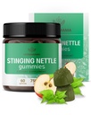 HERBAMAMA Sting Nettle Gummies - 7500mg Sting Nettle Root Extract for Urinary Tract Support for Women & Men - Vegan, Non-GMO Urtica Dioica Supplement - 60 Pectin-Based Apple-Flavored Chews