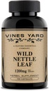 Wild Nettle Leaf Capsules | Unterstützt gesunde Fluid Balance & Urinary Tract Issues | 100% Natural Organic Herbal Supplement 1200mg | 100 Pack