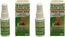 Seagate Produkte Homeopathic Olive Blatt Throat Spray 1 Unze Entflammt 2pack