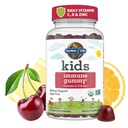 Garten des Lebens Kinder Immune Unterstützung Gummie mit Vitamin C, D als D3 & Zink für 3-in-1 Tägliche Kinder Immunität – Organisch, Non-GMO, Glutenfrei, Vegetarisch, Zuckerfrei, Kirschen Geschmack, 30 Tage Versorgung
