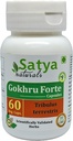 Gokhru Forte Kapseln 500 mg. 60 Veg. Kapsel | Gokharu (Tribulus Terrestris) Extrakt Kapseln für Männer und Frauen | Ayurvedische Kräuterergänzung/Remedies | 10:1 Forte (1 Flasche 60 Kapseln)