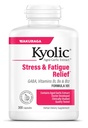 Kyolic Aged Knoblauch Extrakt Formel 101, Stress und Fatigue Relief, 300 Kapseln.