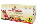 HYLEYS Tee Garcinia Cambogia Grüner Tee mit sortierten Aromen - 42 Teebeutel (12 Pack - 504 Teebeutel insgesamt)