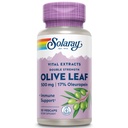 SOLARAY garantierte Potenz Oliven Blatt Extrakt doppelte Stärke, Veg Cap (Btl-Plastic) 500mg | 30ct