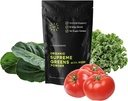 Bio Superfood Greens Pulver mit MSM, für Gut Gesundheit, Verdauung, Immununterstützung, Energie und mehr (Sugar Free, Non-GMO, Keto, Vegan), 60 Servierungen, 30 Tage Versorgung