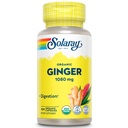 SOLARAY Organic Ingwer 1080 mg - Organic Ingwer Supplements - lindert Übelkeit und Erbrechen im Zusammenhang mit Bewegungskrankheit, unterstützt Gelenkgesundheit - Vegan, nicht schläfrig, 60-Tage-Garantie, 50 Portionen