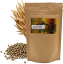 Natural Organic Brewer's Yeast Pille 맥 Fast모 3.52(100g) / Ergänzungen für Immununterstützung & Nervous System für Frau & Mann